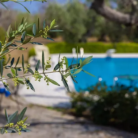 Casa Ulmi Con Piscina B&B