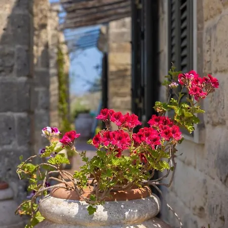 Casa Ulmi Con Piscina B&B 4*