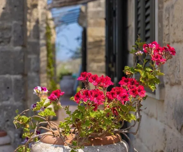 Casa Ulmi Con Piscina Bed & Breakfast 4*