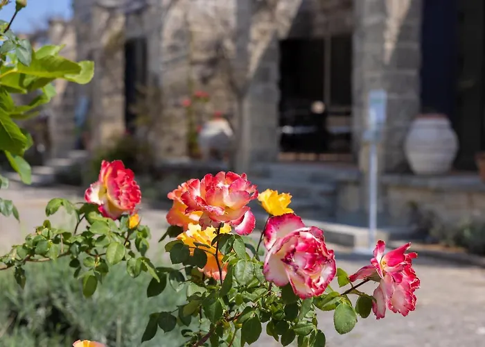 Casa Ulmi Con Piscina Bed & Breakfast Uggiano La Chiesa